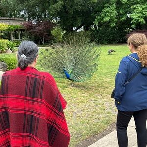 Meet your Posher, Marta